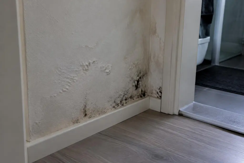 Lekdetectie Baarn – vochtplek met schimmel op een muur